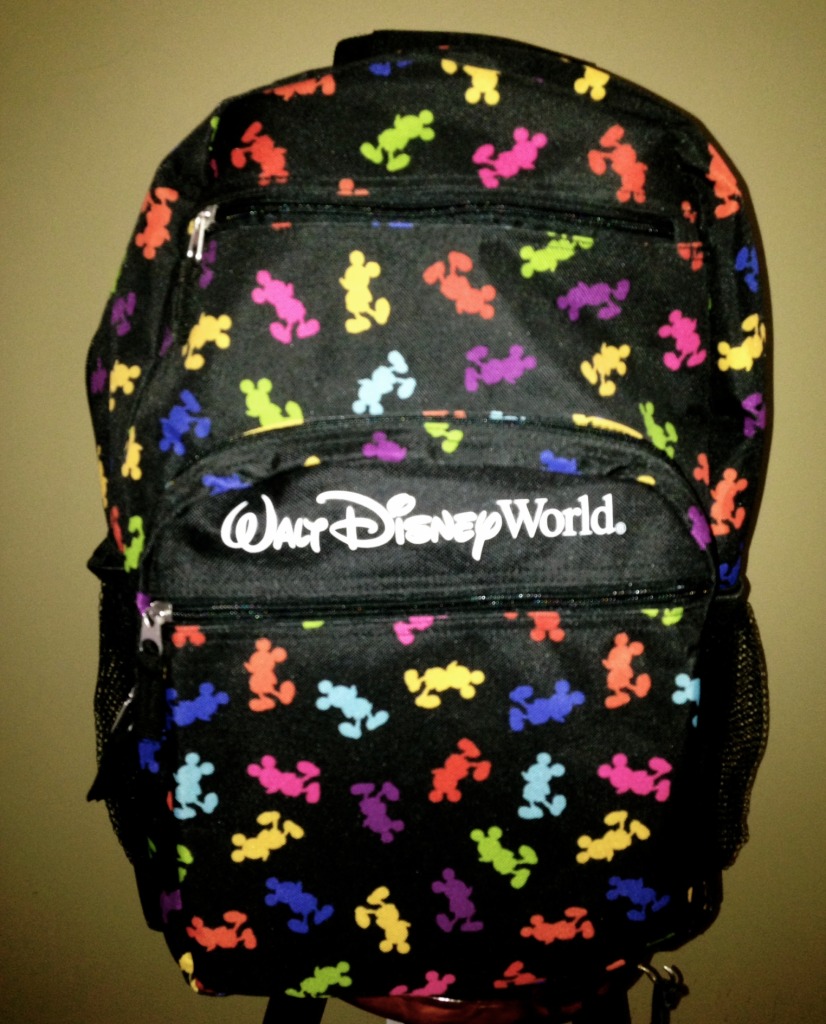 15 Essentials to Carry in the Parks - Walt Disney Word